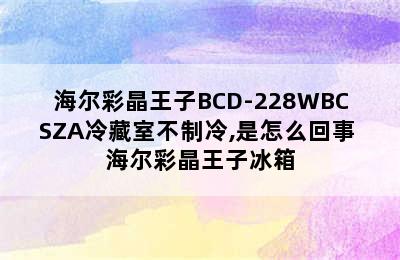 海尔彩晶王子BCD-228WBCSZA冷藏室不制冷,是怎么回事 海尔彩晶王子冰箱